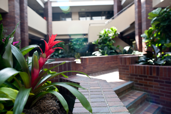 Plants and brick walkways in the building atrium