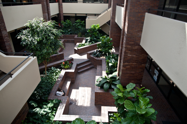 Landscaped atrium inside the 3030 Salt Creek Lane building